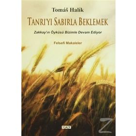 Tanrı’yı Sabırla Beklemek - Tomas Halik