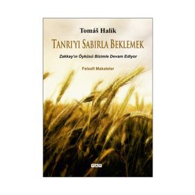 Tanrı’yı Sabırla Beklemek - Tomas Halik