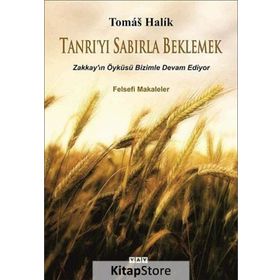 Tanrı’yı Sabırla Beklemek - Tomas Halik