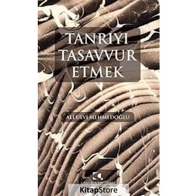 Tanrıyı Tasavvur Etmek - Ali Ulvi Mehmedoğlu