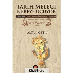 Tarih Meleği Nereye Uçuyor - Altan Çetin