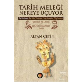 Tarih Meleği Nereye Uçuyor - Altan Çetin