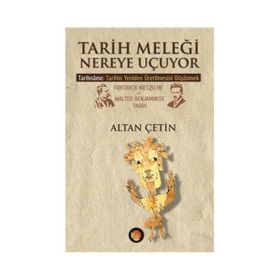 Tarih Meleği Nereye Uçuyor - Altan Çetin
