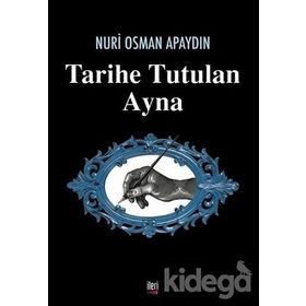 Tarihe Tutulan Ayna - Nuri Osman Apaydın