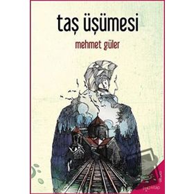 Taş Üşümesi-Mehmet Güler-h2o Kitap
