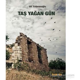 Taş Yağan Gün - Ali Yıldırımoğlu