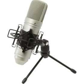 Tascam TM-80 Geniş Diyaframlı Kapasitif Cardioid Condenser Mikrofon