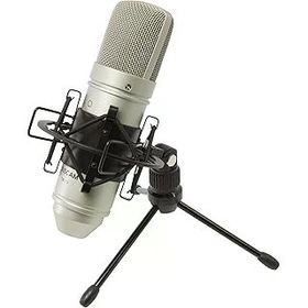 Tascam TM-80 Geniş Diyaframlı Kapasitif Cardioid Condenser Mikrofon