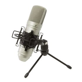 Tascam TM-80 Geniş Diyaframlı Kapasitif Cardioid Condenser Mikrofon