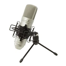 Tascam TM-80 Geniş Diyaframlı Kapasitif Cardioid Condenser Mikrofon