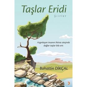 Taşlar Eridi - Cinius Yayınları