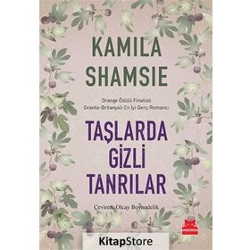 Taşlarda Gizli Tanrılar - Kamila Shamsie