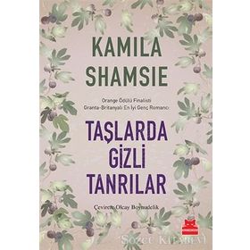Taşlarda Gizli Tanrılar - Kamila Shamsie