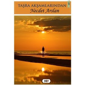 Taşra Akşamlarından - necdet arslan