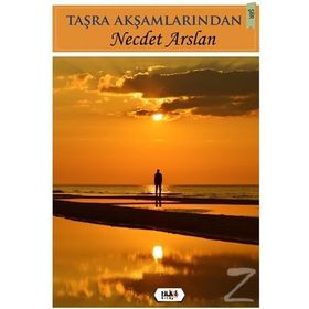 Taşra Akşamlarından - necdet arslan