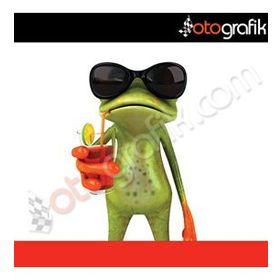 Tatilci Kurbağa Oto Sticker