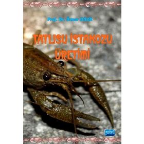 TATLISU İSTAKOZU ÜRETIMI - ÖZNUR DILER