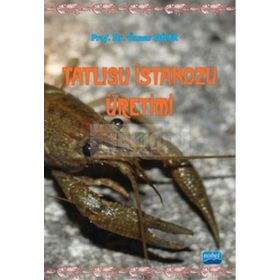 TATLISU İSTAKOZU ÜRETIMI - ÖZNUR DILER