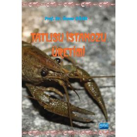 TATLISU İSTAKOZU ÜRETIMI - ÖZNUR DILER