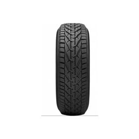 Taurus 205/55 R16 91H Winter Kış Lastiği