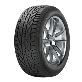 Taurus 225/50 R17 98V XL Winter Kış Lastiği