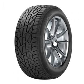 Taurus 225/55 R17 101V XL Winter Kış Lastiği