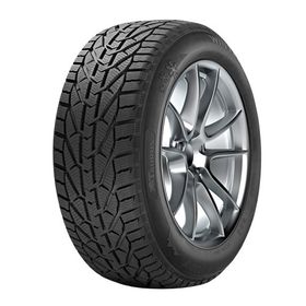 Taurus 245/45 R18 100V XL Winter Kış Lastiği 2025
