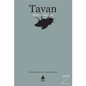TAVAN - GENEL