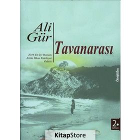 Tavanarası - Ali Gür