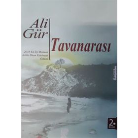 Tavanarası - Ali Gür