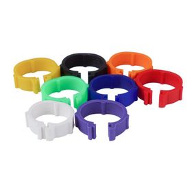 Tavpet 18 mm 50'lik Karışık Tavuk Bileziği