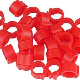 Tavpet 7,5 mm 100'lük Kırmızı Civciv Bileziği