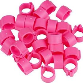 Tavpet 7,5 mm 50'lik Pembe Civciv Bileziği