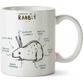 Tavşan Anatomisi Anatomy of A Rabbit Baskılı Kupa