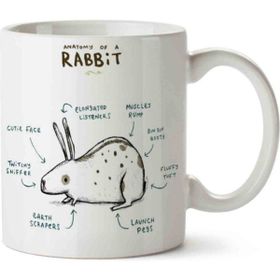Tavşan Anatomisi Anatomy of A Rabbit Baskılı Kupa