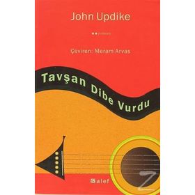 TAVŞAN DIBE VURDU - GENEL