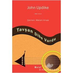 TAVŞAN DIBE VURDU - GENEL