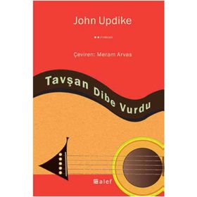TAVŞAN DIBE VURDU - GENEL