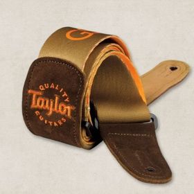 Taylor GS Mini Akustik Gitar