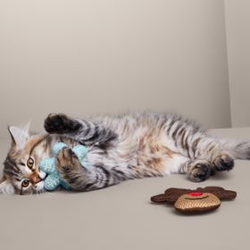 Tchibo Kedi Oyuncağı