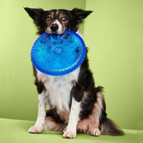 Tchibo Köpek Frizbisi