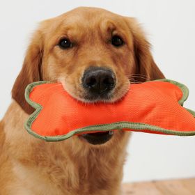 Tchibo Köpek Oyuncağı kemik