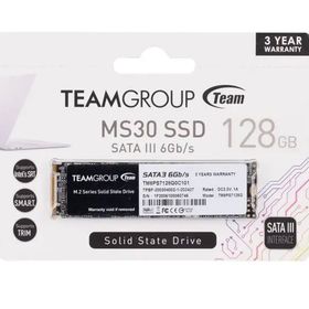 Team TM8PS7128G0C101 128GB Team M.2-2280 SATA3 MS30 SSD
