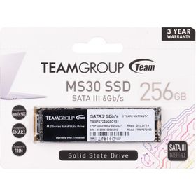 Team TM8PS7256G0C101 256 GB SSD
