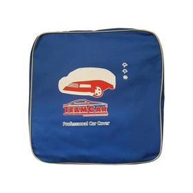 TeamCar Porsche Taycan Doluya Karşı Oto Branda