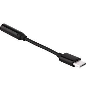 Techmaster Type-C to Type-C Siyah Adaptör Çevirici