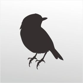 Technopa 200 cm Uzunluk Serçe Folyo Sticker