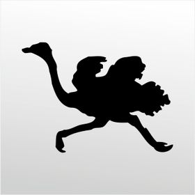 Technopa 60 cm Uzunluk Deve Kuşu Folyo Sticker
