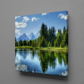 Technopa Ağaç Yansıması 30x30 cm Kanvas Tablo