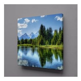 Technopa Ağaç Yansıması 40x40 cm Kare Kanvas Tablo